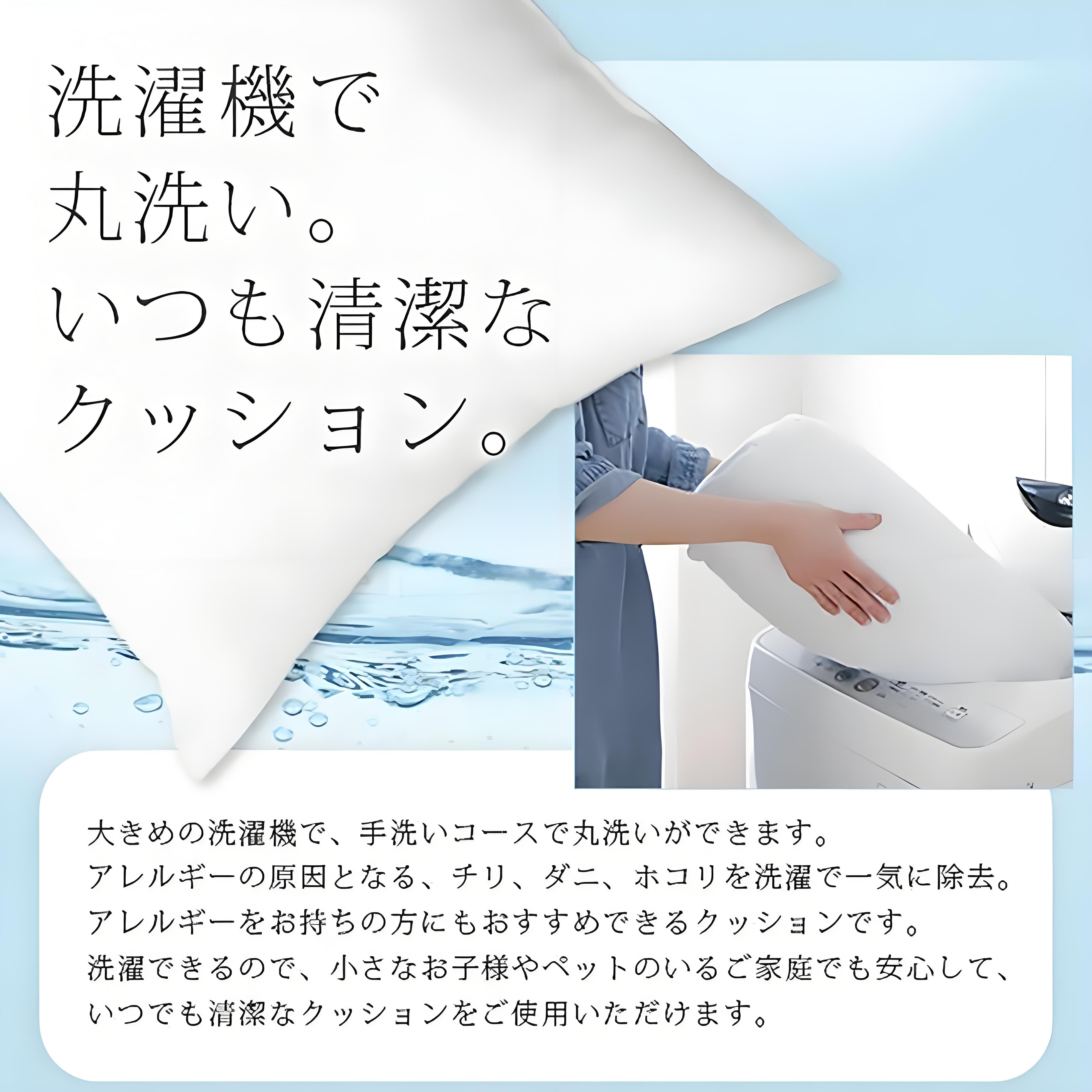 Digimon デジタルモンスター/デジモン クッションカバー＆本体セット（ポリエステル素材）