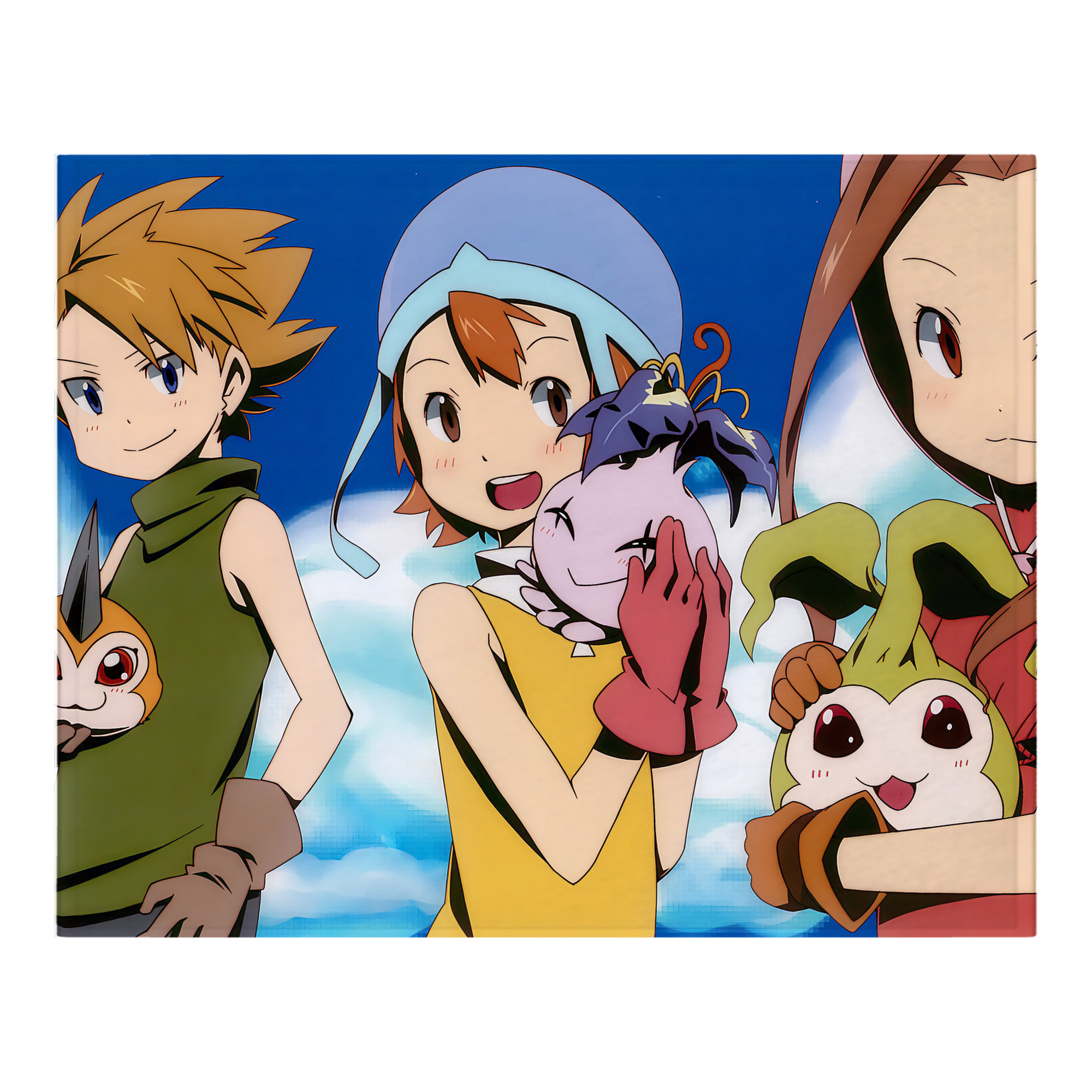 （画像用） Digimon デジタルモンスター/デジモン フランネルブランケット・多サイズ対応（横型）