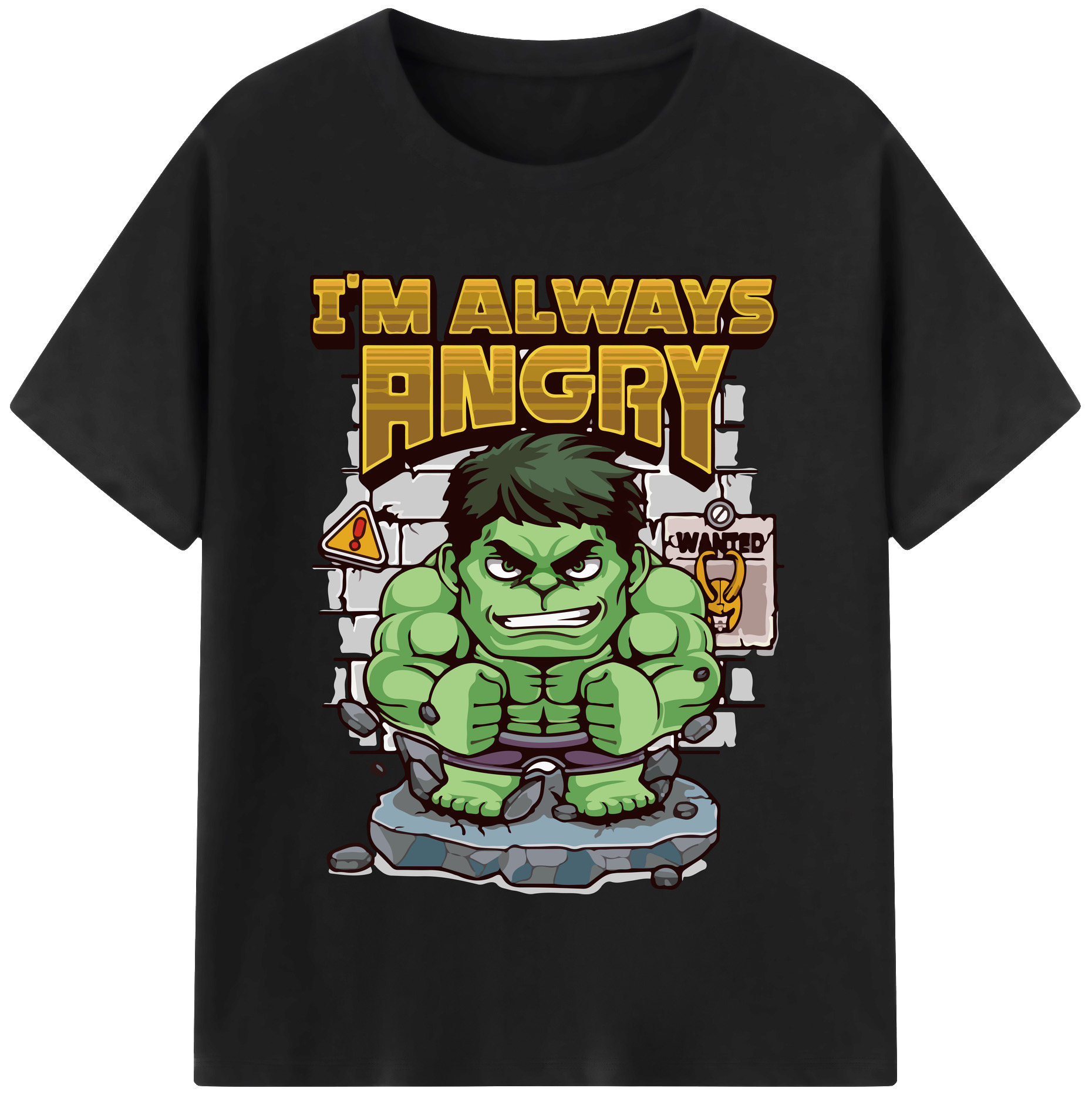 （画像用） Digimon デジタルモンスター/デジモン 綿100％半袖Tシャツ（フロントプリント）