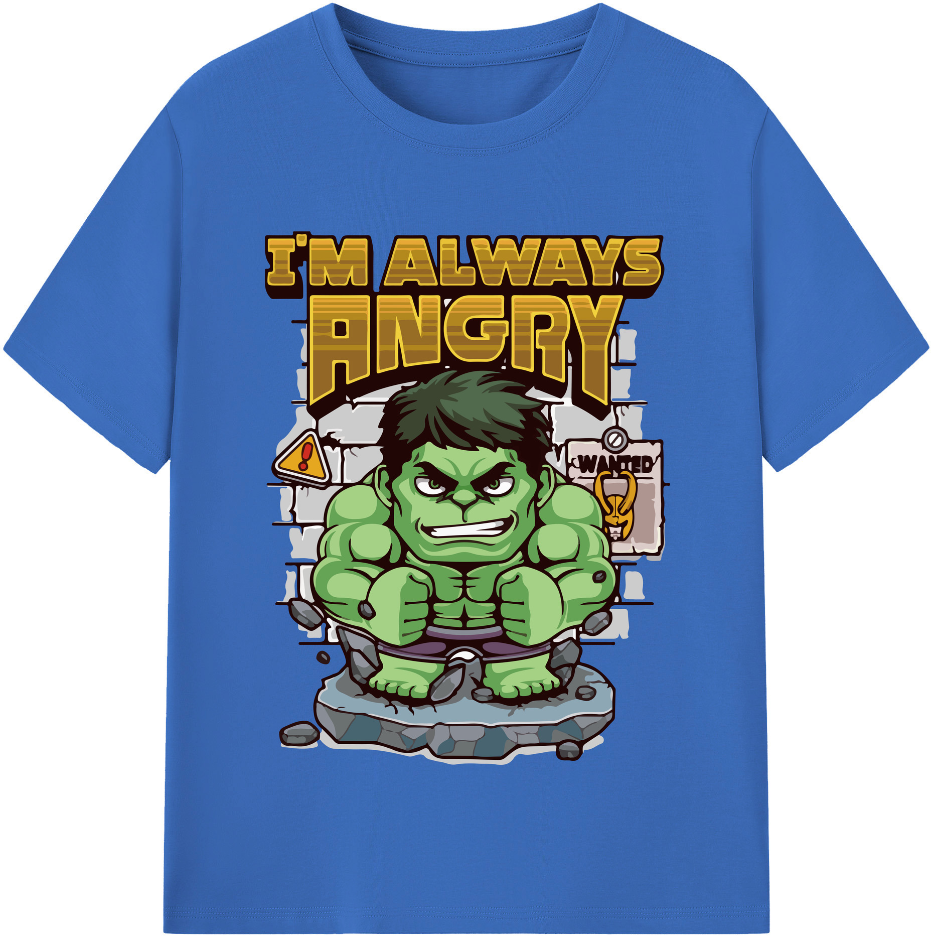 （画像用） Digimon デジタルモンスター/デジモン 綿100％半袖Tシャツ（フロントプリント）