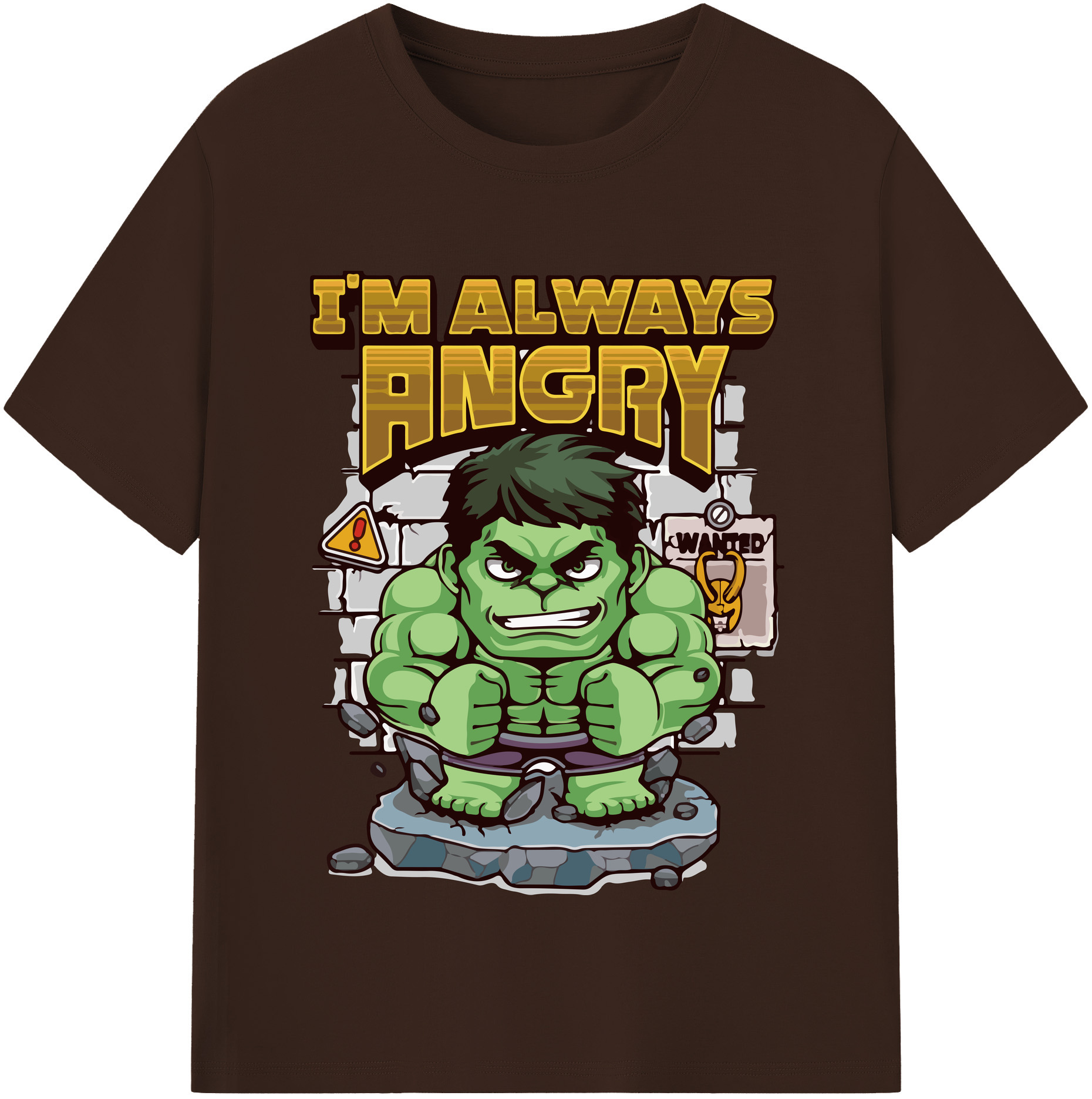 （画像用） Digimon デジタルモンスター/デジモン 綿100％半袖Tシャツ（フロントプリント）
