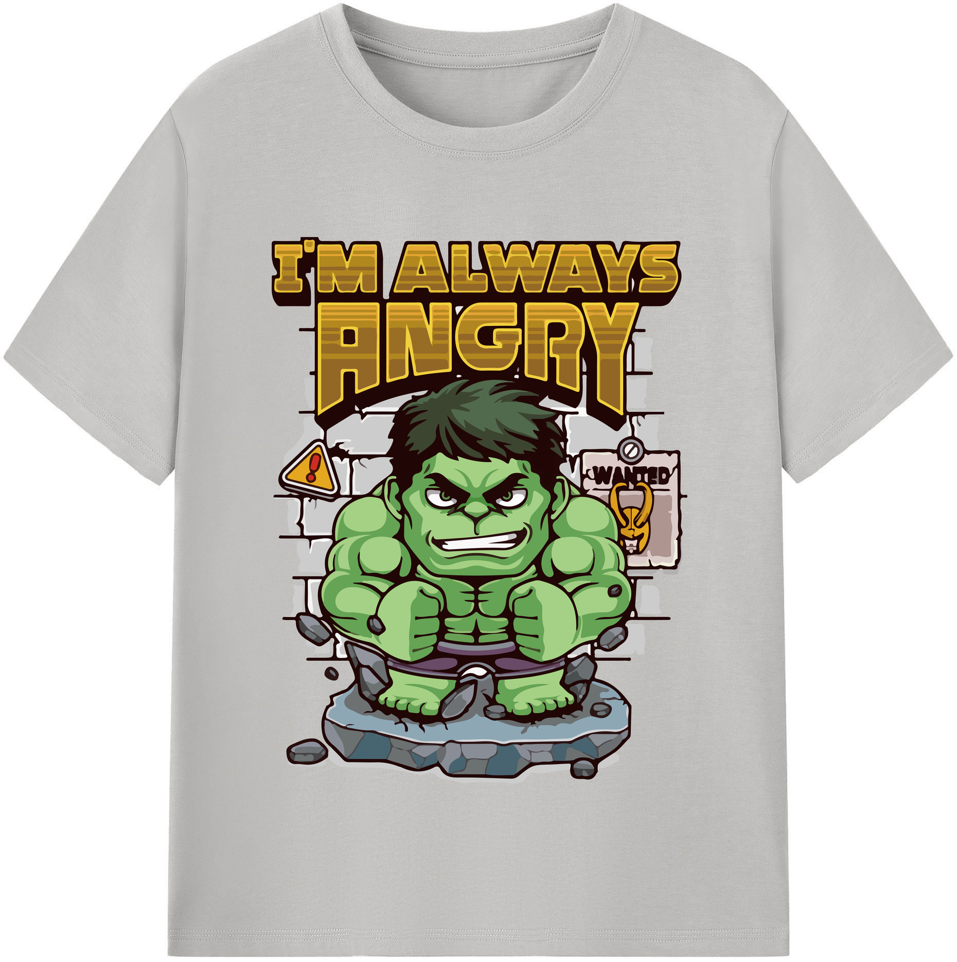 （画像用） Digimon デジタルモンスター/デジモン 綿100％半袖Tシャツ（フロントプリント）