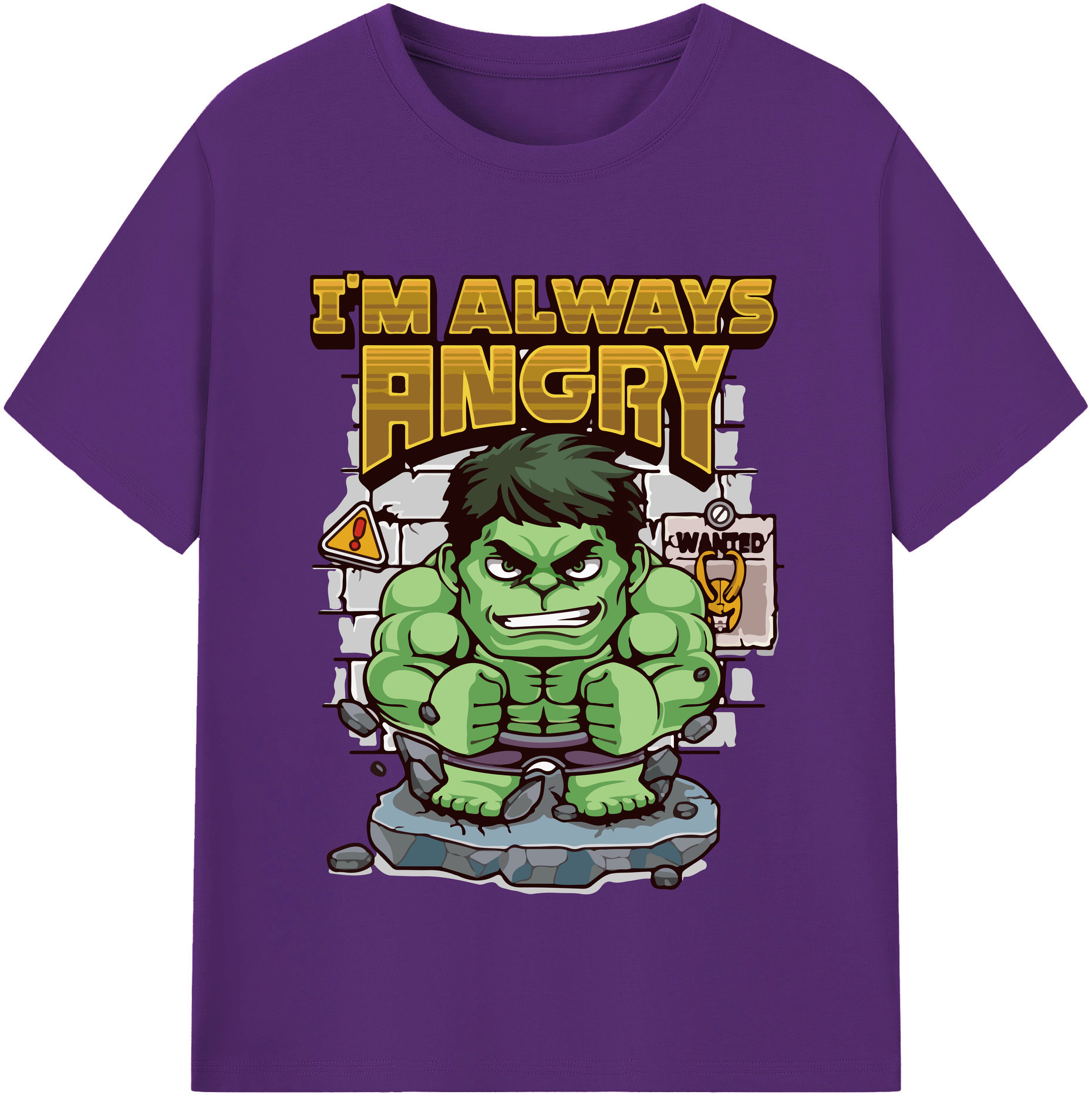 （画像用） Digimon デジタルモンスター/デジモン 綿100％半袖Tシャツ（フロントプリント）