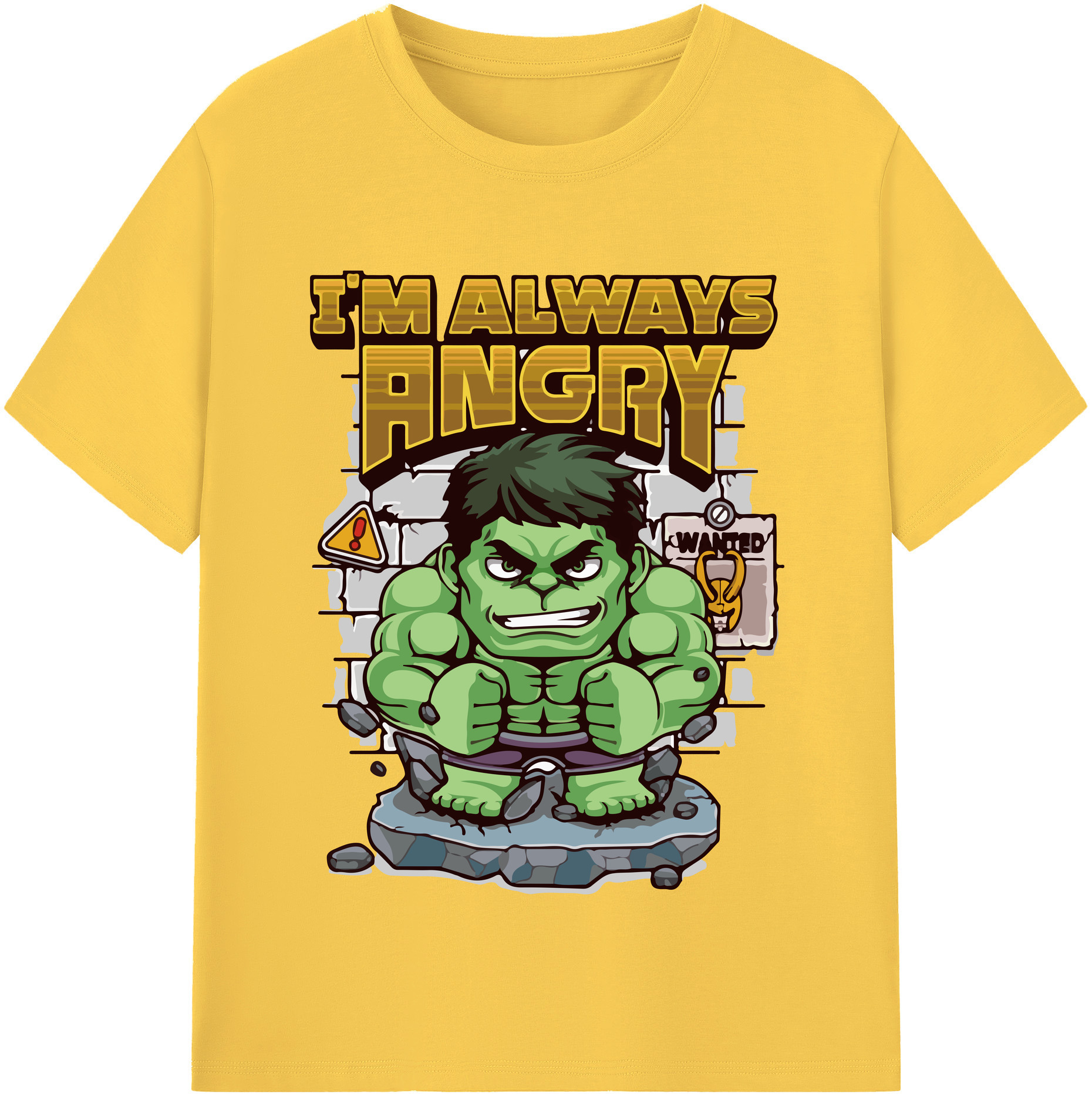 （画像用） Digimon デジタルモンスター/デジモン 綿100％半袖Tシャツ（フロントプリント）